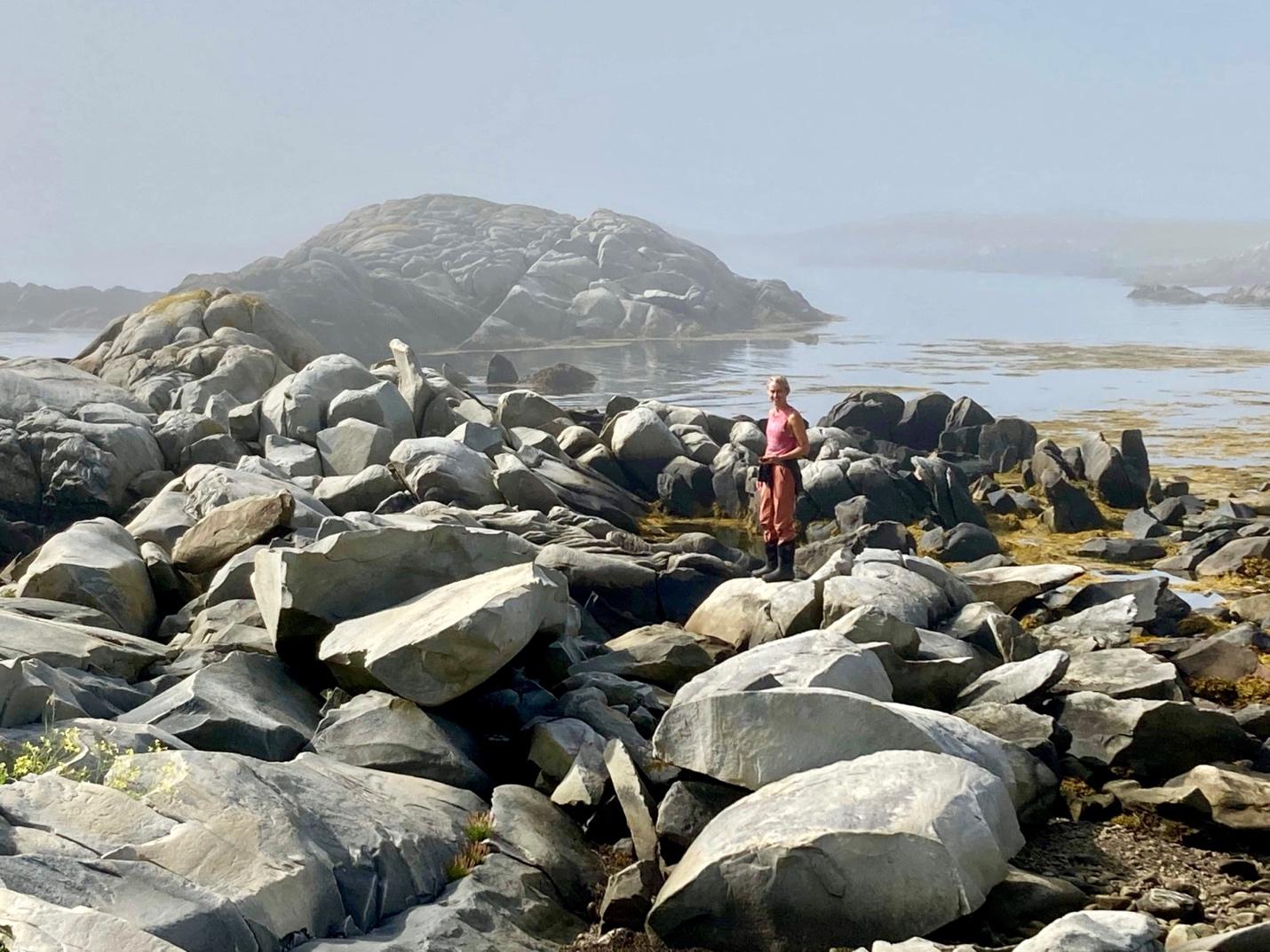 Like Rocks and Mountains: A Contemplative Science Program Under Threat ...