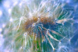 Contemplation + SENSEmaking: An Interview with James Gentry